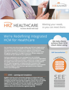 HRZ Healthcare infographic